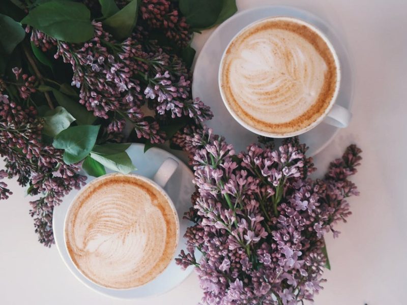 An Interview with Terri&nbsp;Fox