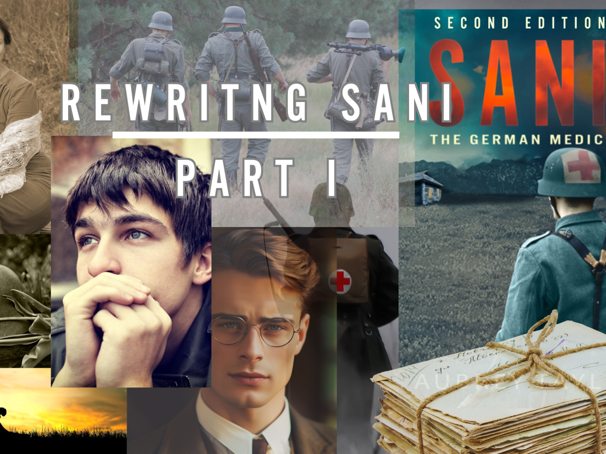 Rewriting Sani: Part&nbsp;I