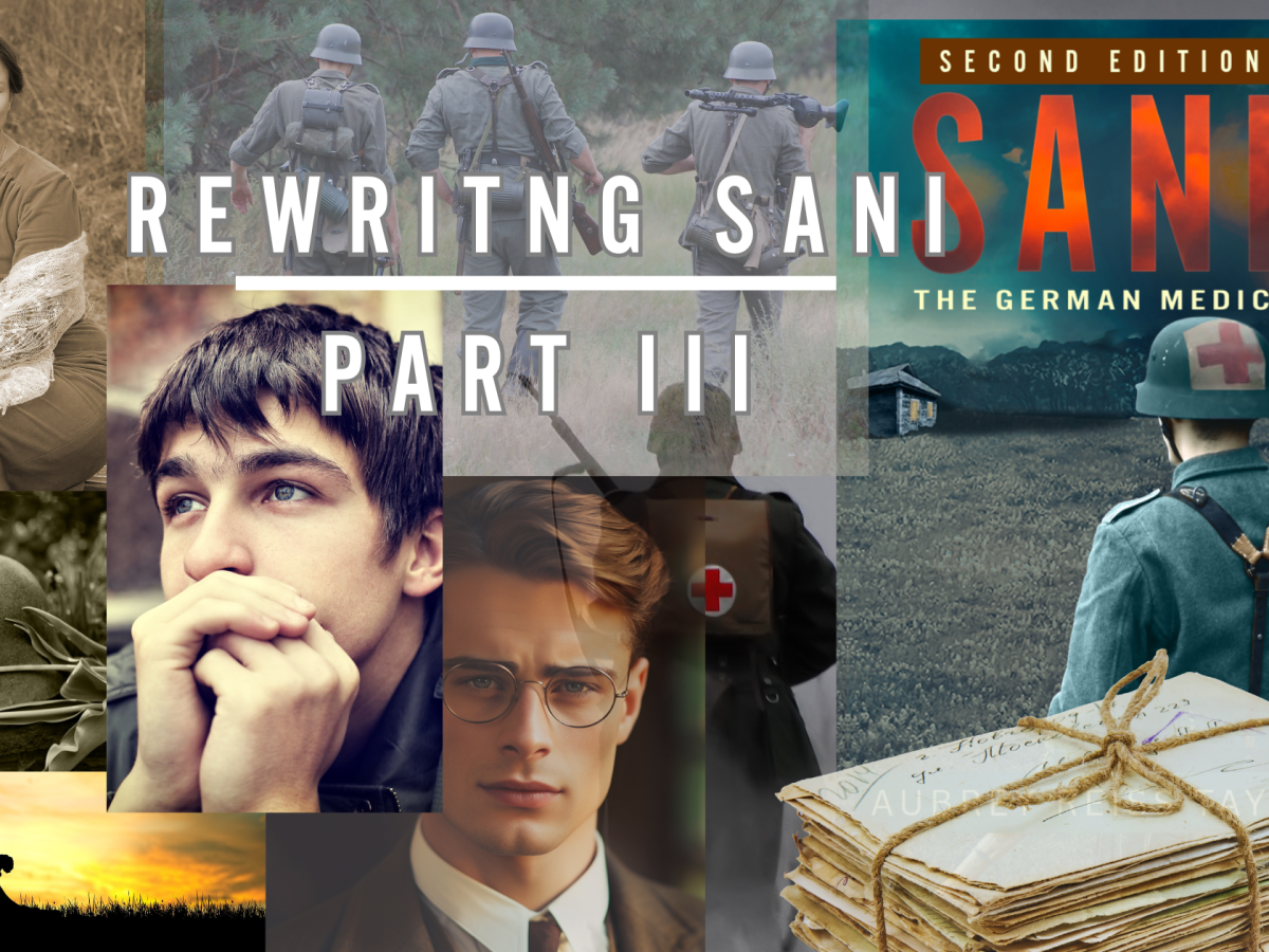 Rewriting Sani: Part&nbsp;III