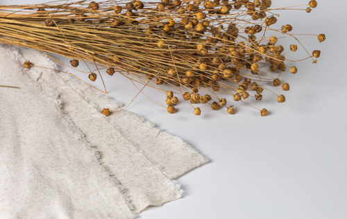 white linen and dried flax stalks